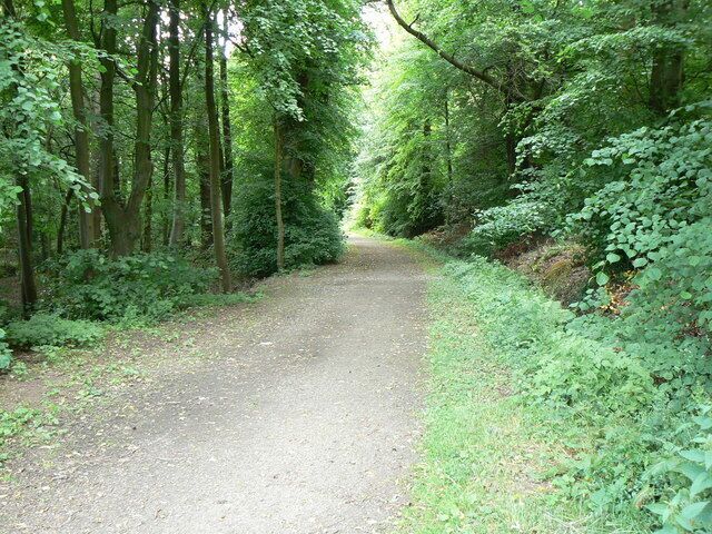 President Kennedy Driveway. A rather grandly named pathway leading through Plean Country Park.