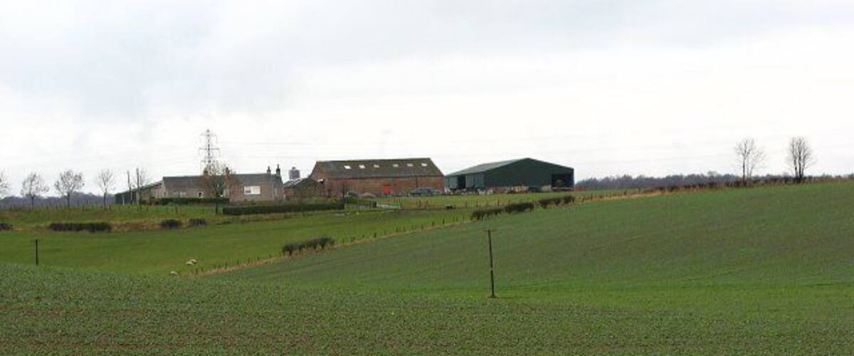 A green field with a barn and a house in the background.
