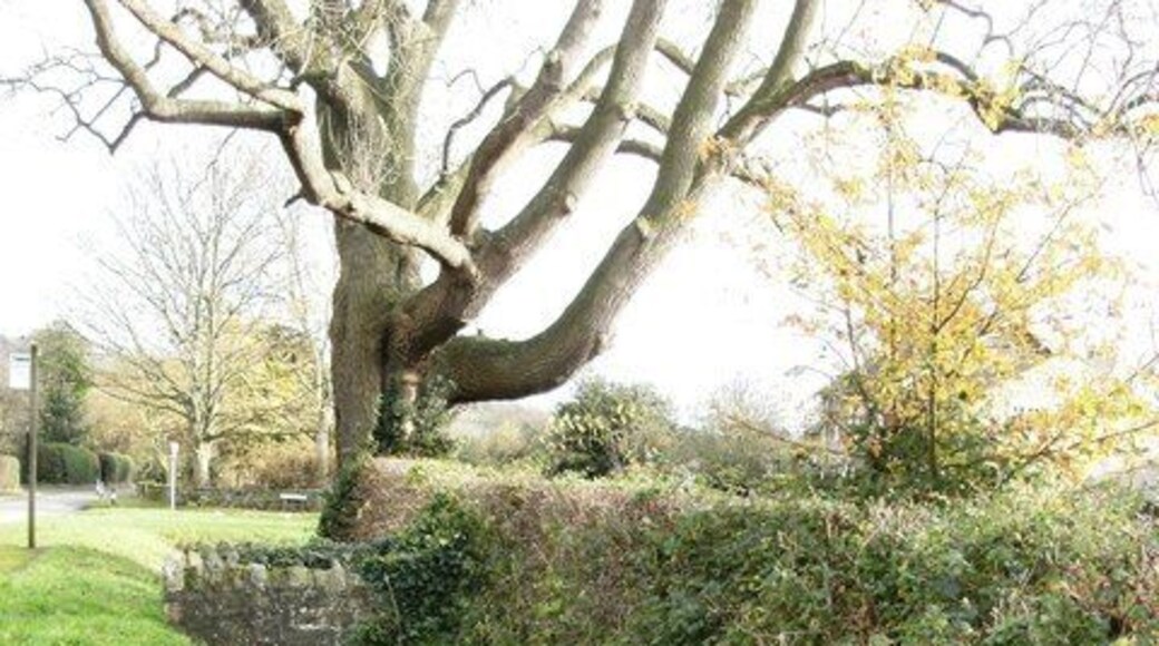 Stream by Main Street Weeton