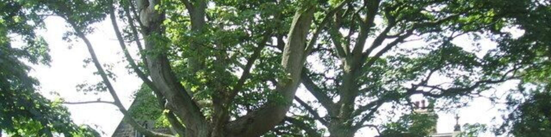 The Old Vicarage, Weeton