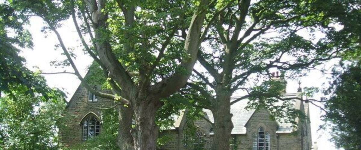 A stone church with a large tree in front.