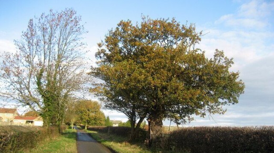 Gallogate Lane This curious thoroughfare describes an acute horseshoe course, and finishes very close to where it Starts.