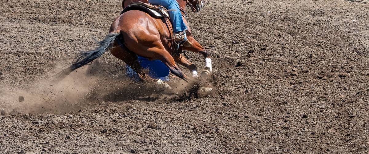 A rodeo cowgirl in a blue shirt is riding a brown horse in a barrel racing competition. They are going around the barrel on the right side. The horse is kicking up a lot of dirt.