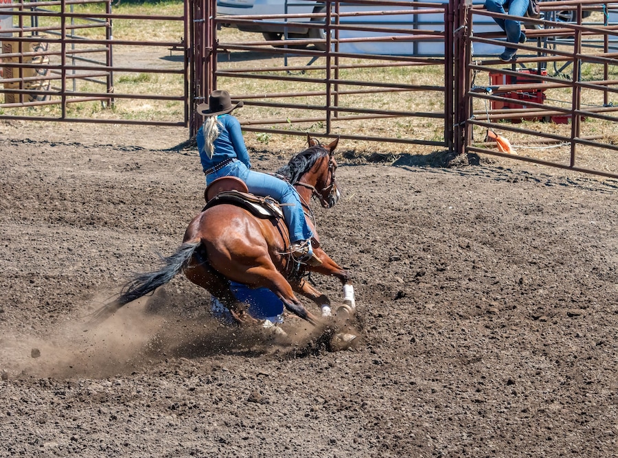 A rodeo cowgirl in a blue shirt is riding a brown horse in a barrel racing competition. They are going around the barrel on the right side. The horse is kicking up a lot of dirt.