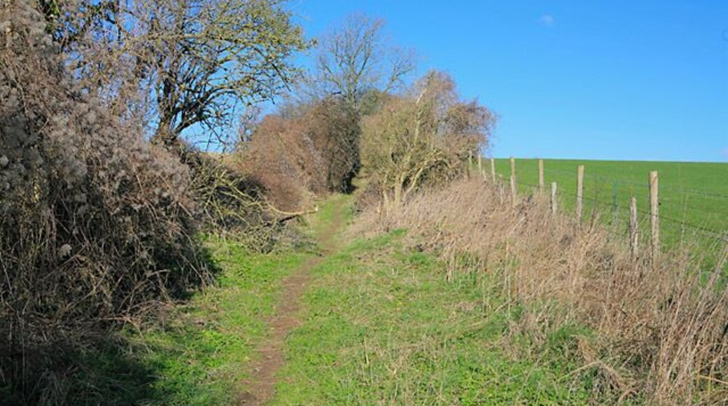 Church Lane, Brown Candover Part of the Wayfarer's Walk. Climbing the hill towards Church Lane Farm.
