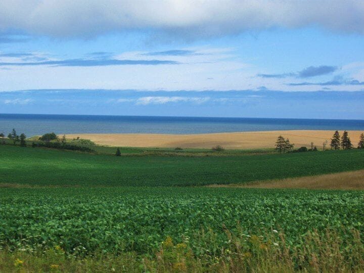 Short scenic drive on a dirt road that leads out to the New London Lighthouse. Best attempted in dry conditions! #roadtrip