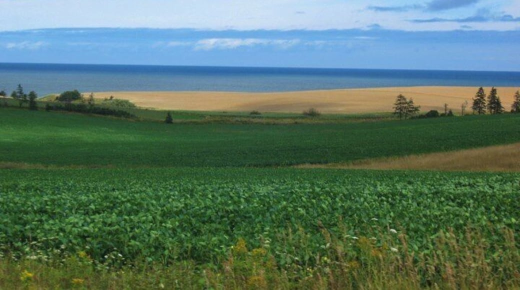 Short scenic drive on a dirt road that leads out to the New London Lighthouse. Best attempted in dry conditions! #roadtrip