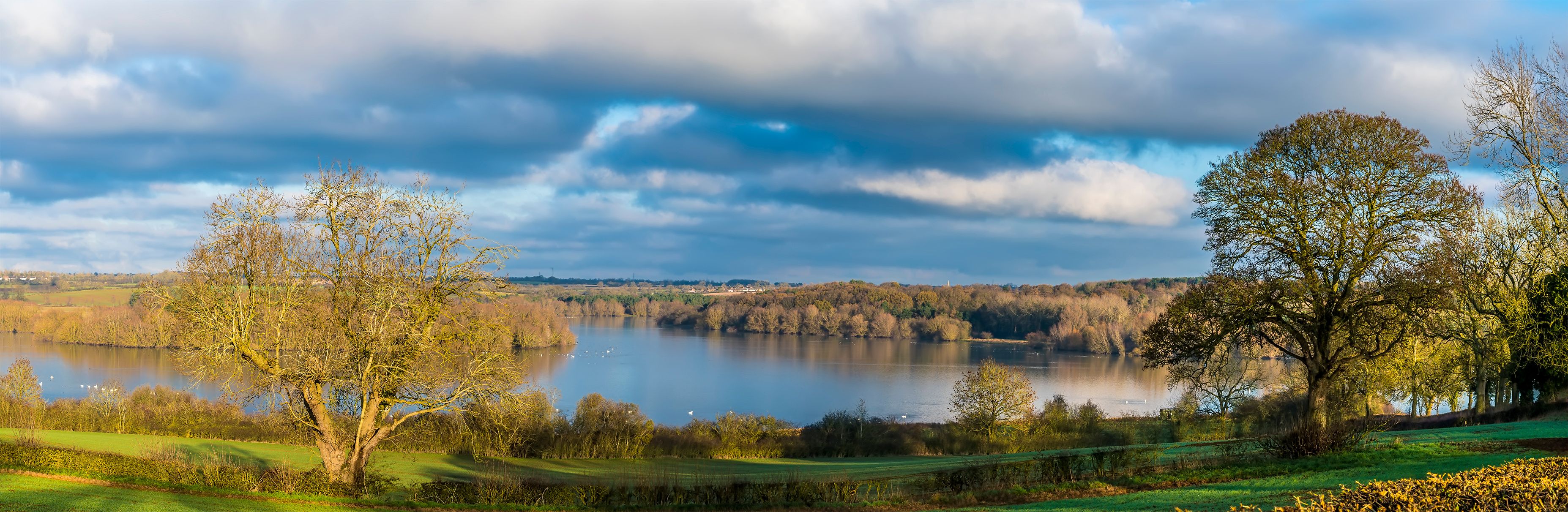 Piddington