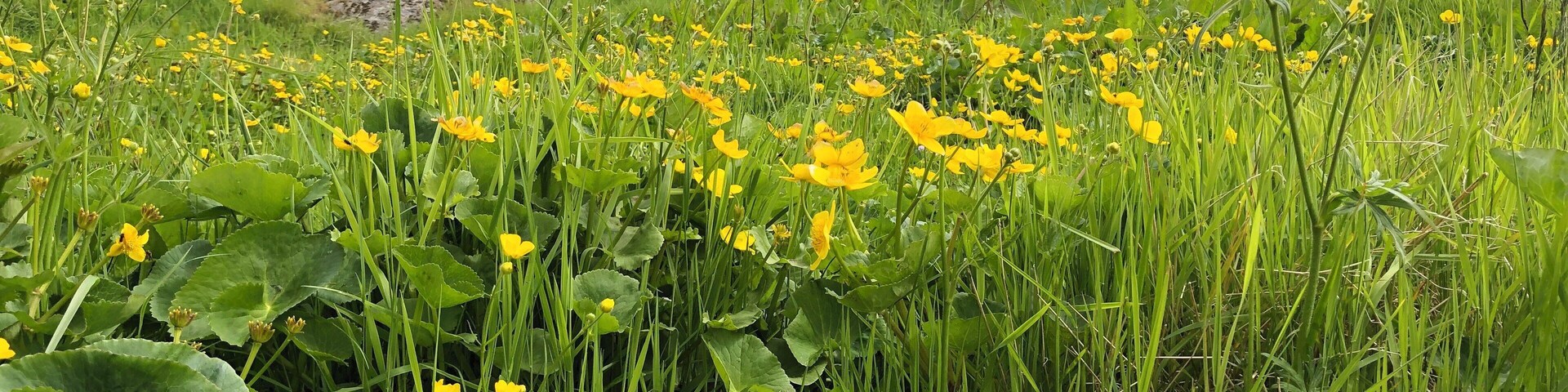 This is part of the National Museum and worth a visit.