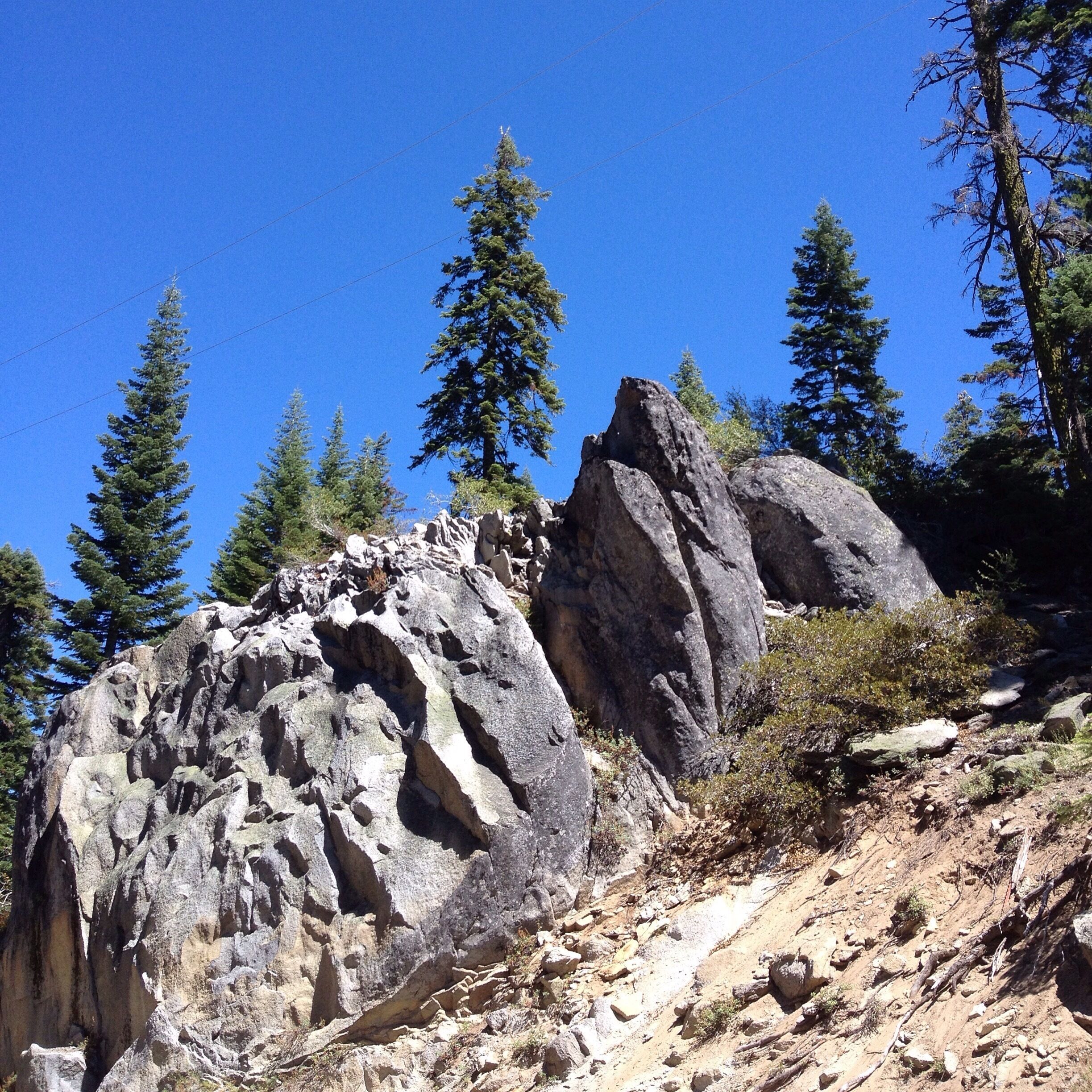 Hiking through the pines at bucks lake ca