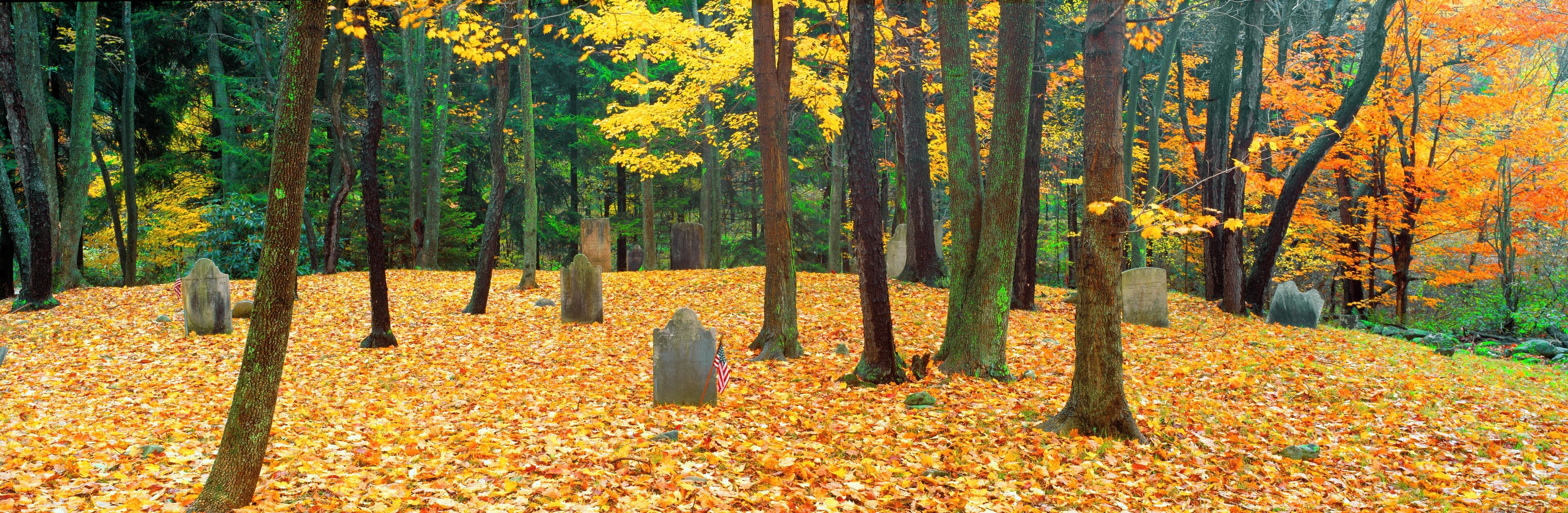 A forest with autumn leaves and gravestones.