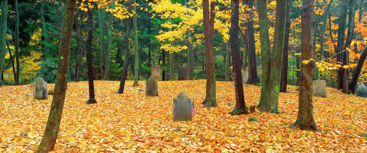 A forest with autumn leaves and gravestones.