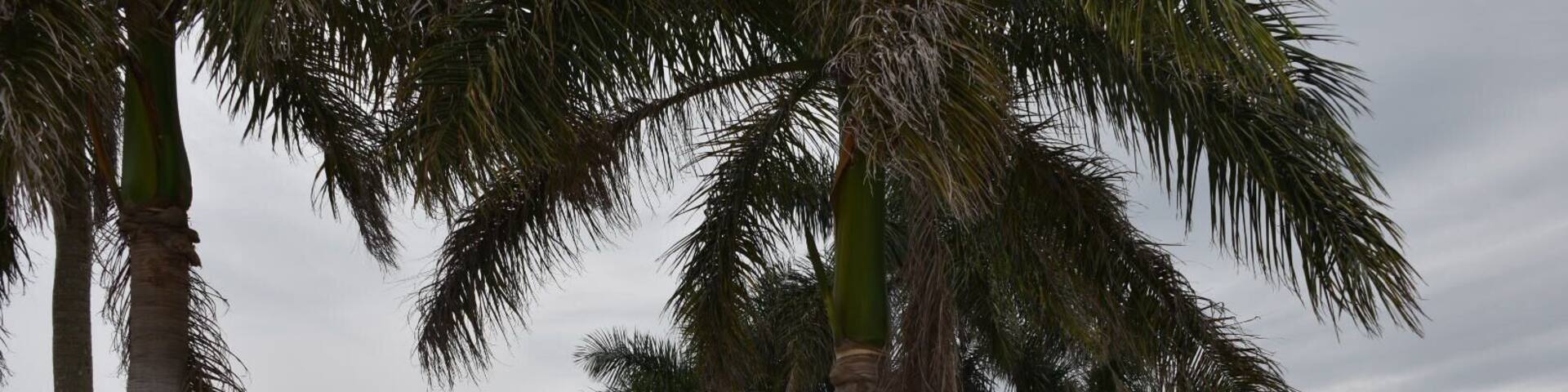 View from our room, Bookelia Fl is one of my happy places ;)