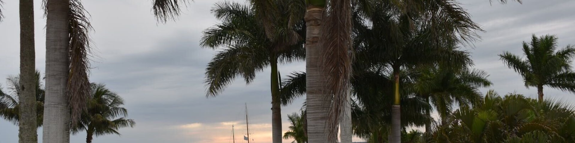 View from our room, Bookelia Fl is one of my happy places ;)