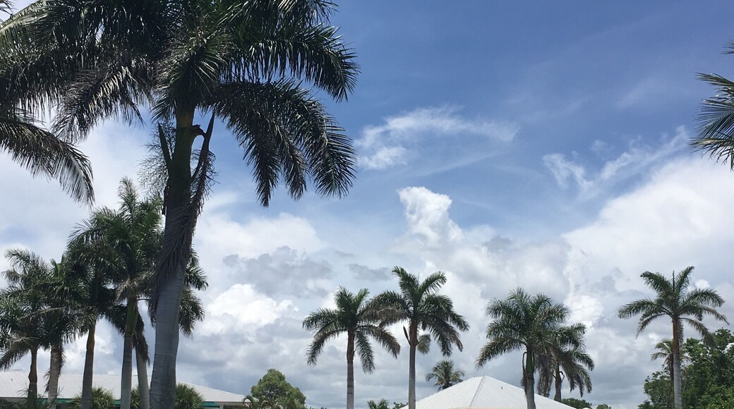Stopped at the Tarpon Lodge on Pine Island, Florida. The area was step back in time of Old Florida of the 1950’s.