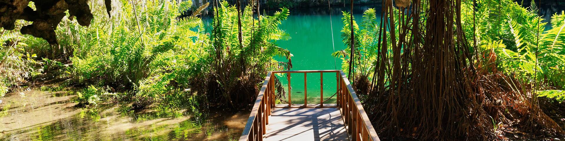 Magnificent view of the mystery misty cave in the jungle, in the underground lake. The 3 Eyes National Park (Los Tres Ojos) in Santo Domingo, Caribbean, Dominican Republic