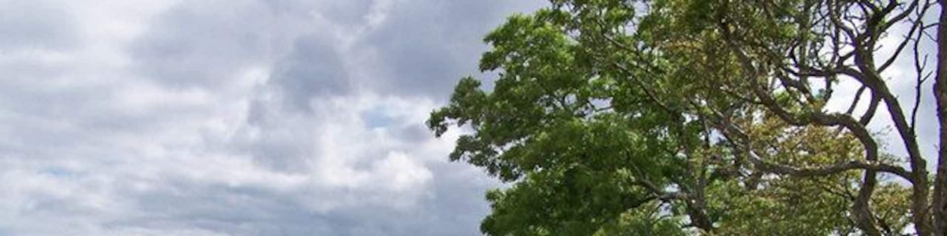 Approaching Orbost. This is the attractive tree-lined road into Orbost from Lonmore. The island of Rum is visible on the distant horizon.