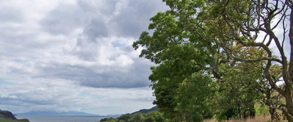 A rural road flanked by grass and trees, leading towards distant hills.