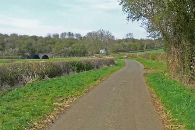Country road near Wymondham The line of trees in the distance marks the route of a dismantled railway.