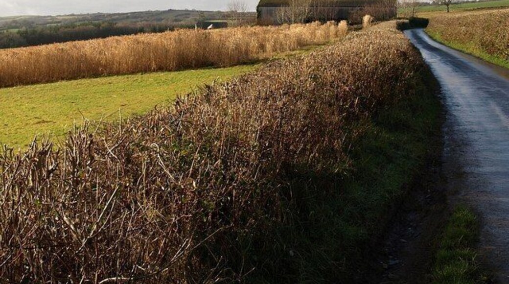 Barn above Dean. Looking along the lane between 1125852 and 1043551 to here it makes a right-angled bend beside the barn, where a green lane descends to the left to 165811.