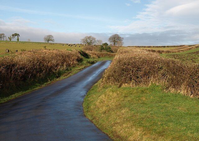 Lane to Wallaford Cross. Looking in the other direction from 1126535. The lane from 1125852 is at a right-angled bend beside 1126516, and climbs towards 1043551.