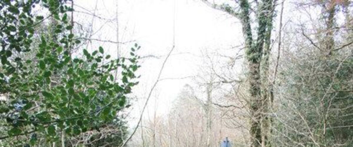 Bridge, Upper Dean. This bridge spans the Dean Burn in a delightful shady coombe. The bridge has been rebuilt in recent years and now has a concrete deck. However the original coping stones have been kept, and the iron staples holding the coping stones together can be clearly seen. See 1128587 and 1128592 for another retained feature on this bridge.