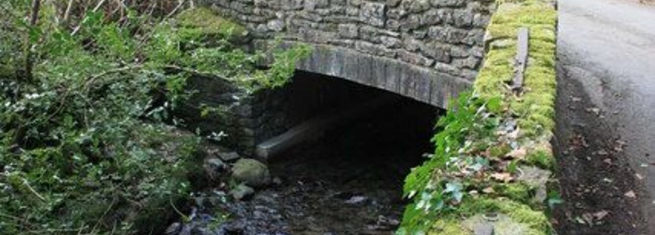 Bridge, Upper Dean. This bridge spans the Dean Burn in a delightful shady coombe. The bridge has been rebuilt in recent years and now has a concrete deck. However the original coping stones have been kept, and the iron staples holding the coping stones together can be clearly seen. See 1128587 and 1128592 for another retained feature on this bridge.