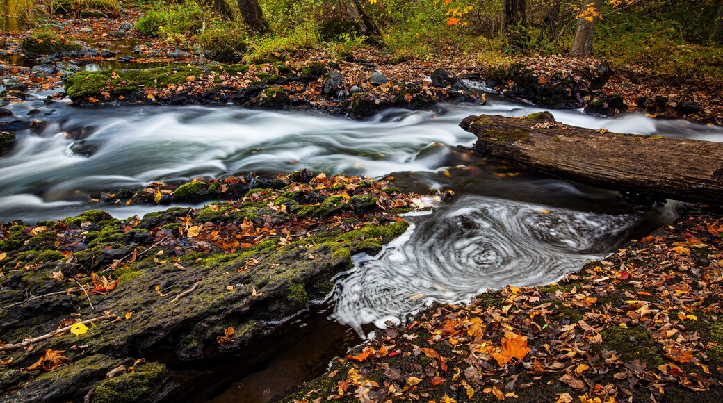 Cascades and whirlpools near Buttermilk Falls, surrounded by fal