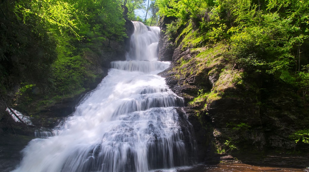 dingmans falls nature landscape pennsylvania
