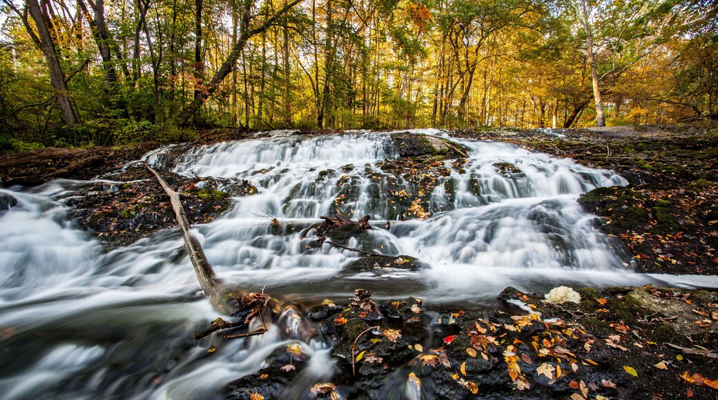Pennsylvania's Buttermilk Falls in autumn, covered in fallen lea