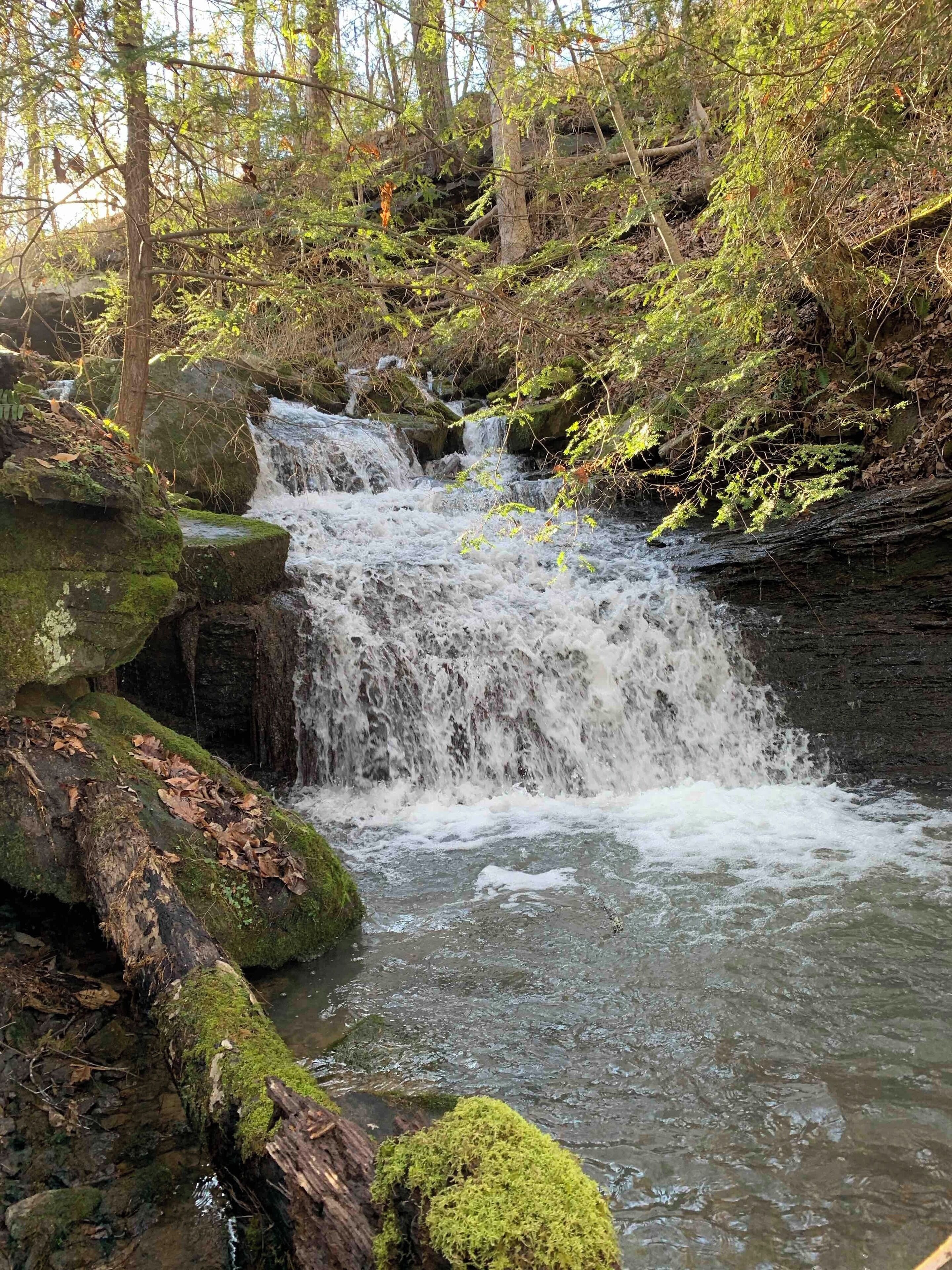 Took a short hike in the mountains today. #waterfalls #outdoors