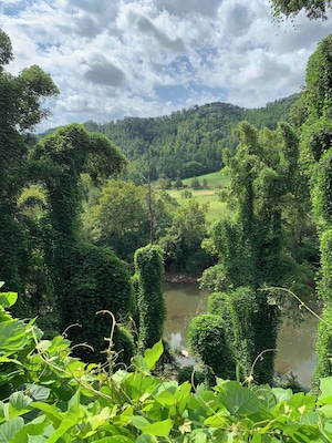 Un río rodeado de abundante vegetación y colinas.