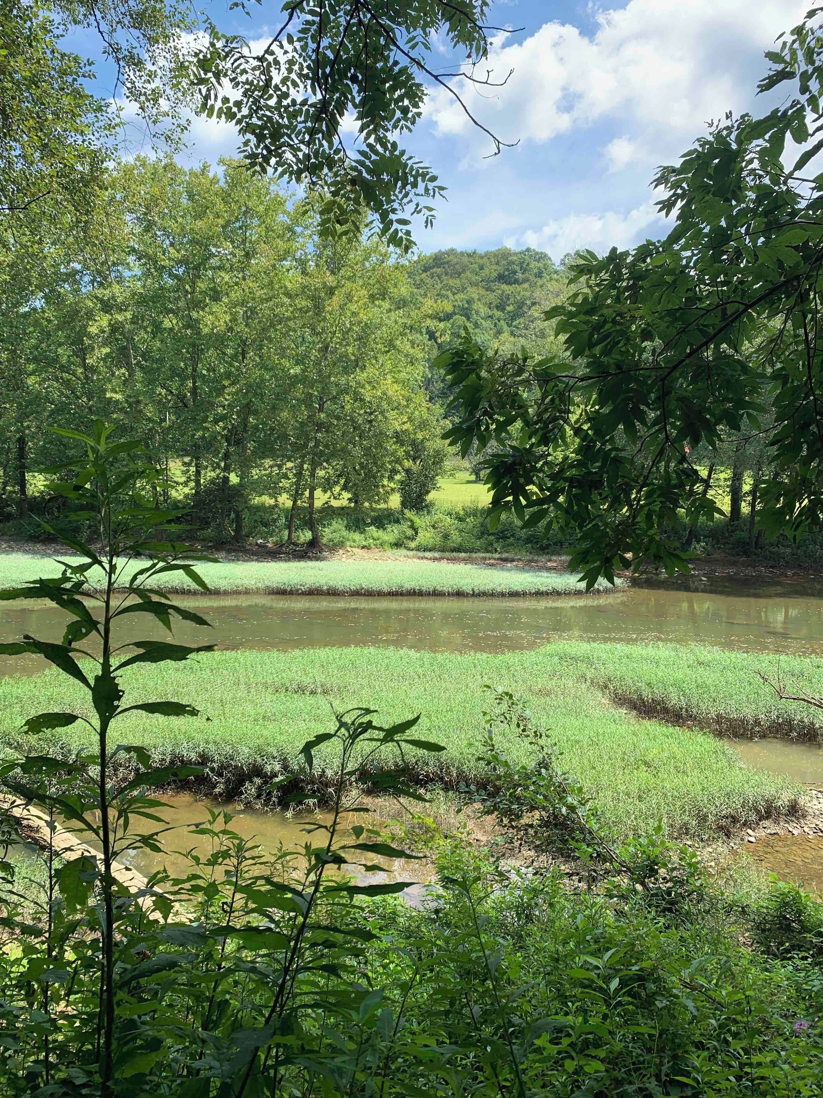Nice view of the river on one of our hikes in the Daniel Boone National Forest. #Nature #KentuckyRiver