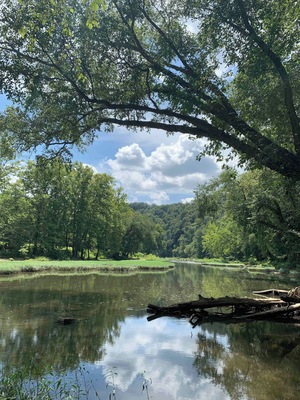 Nice view of the river on one of our hikes in the Daniel Boone National Forest. #Nature #KentuckyRiver