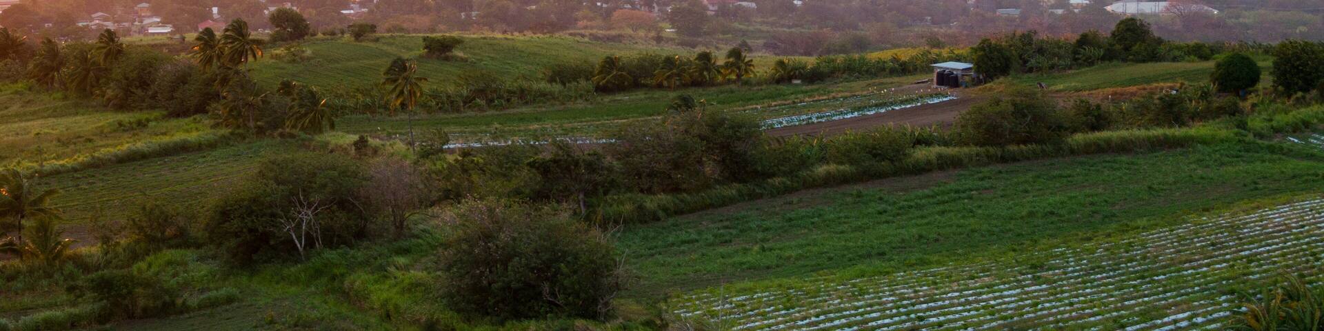 Saint Pauls which includes tranquil scenes, landscape views and a sunset