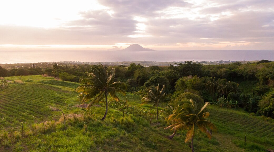 Saint Pauls showing general coastal views, landscape views and tranquil scenes