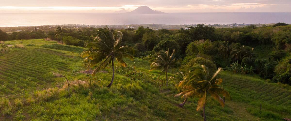 Saint Pauls showing general coastal views, landscape views and tranquil scenes