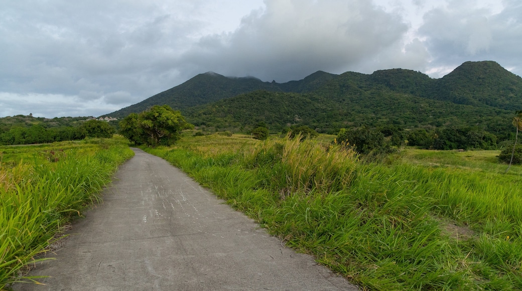 Saint Pauls showing mountains and tranquil scenes