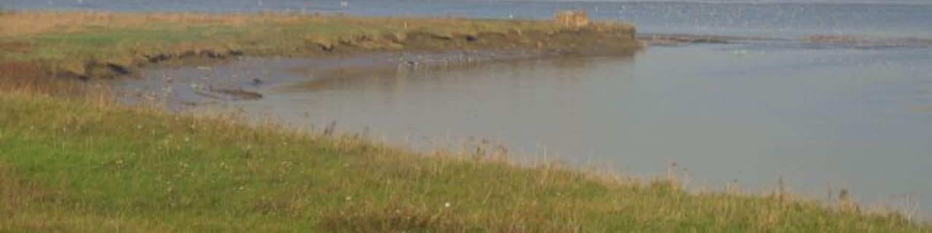 Confluence 2. There can be few grid squares with two river confluences in opposite corners! Across the Thames from the confluence submitted by Glyn, this is the mouth of the Darent (from which Dartford gets its name) looking across to Purfleet.