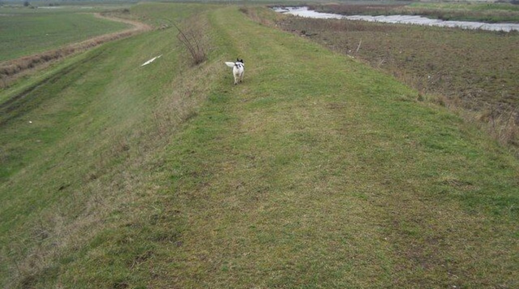 Darenth Valley Walk on sea wall The long distance footpath follows the sea wall into Dartford from the Darenth River entrance on the River Thames.