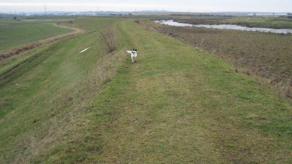 Darenth Valley Walk on sea wall The long distance footpath follows the sea wall into Dartford from the Darenth River entrance on the River Thames.