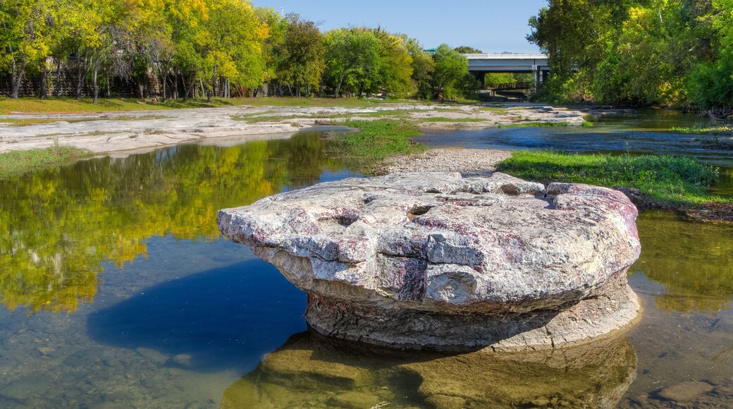 บรัชชีครีก