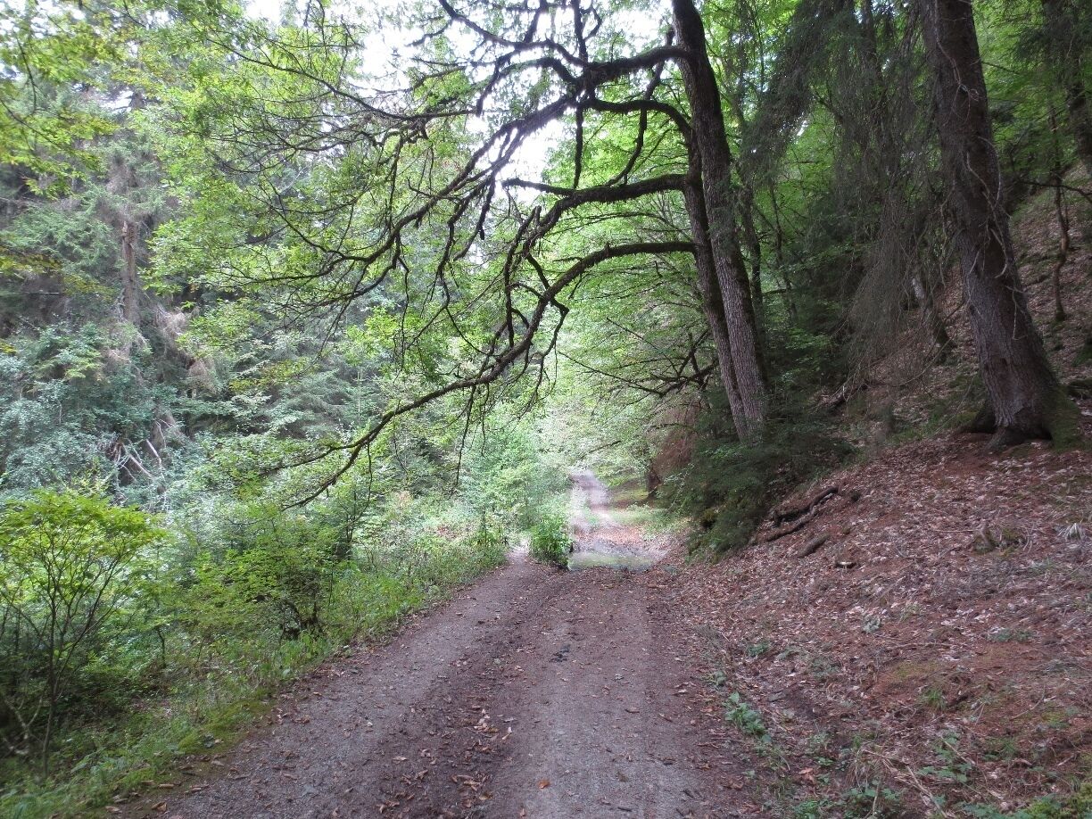 View from a national park in the country of Georgia.  