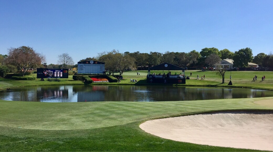 Spending the day watching the 'pros' play here at Bay Hill. It's a beautiful course and an equally beautiful sunny day!