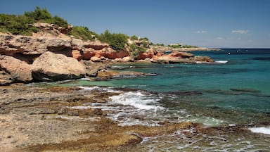 A rocky coastline with clear turquoise waters, green vegetation, and a distant building on a cliff.
