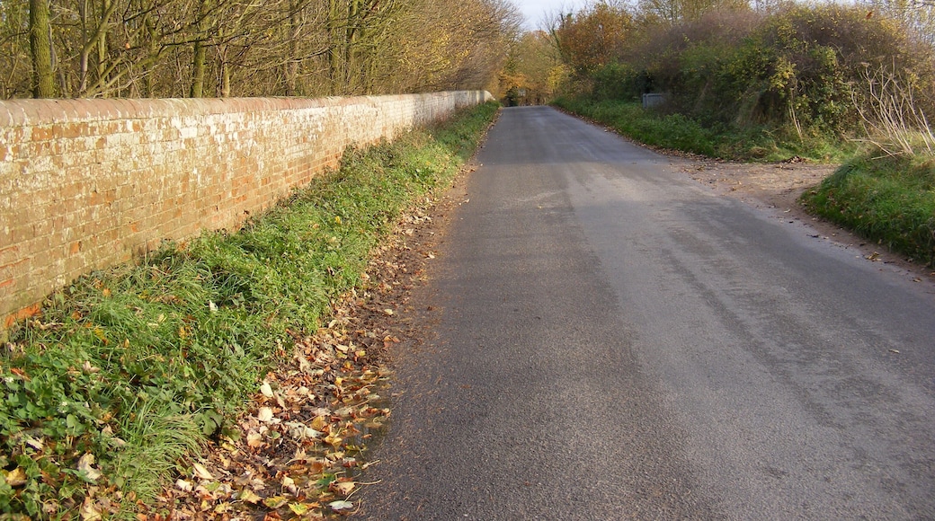 New Road,Great Glemham