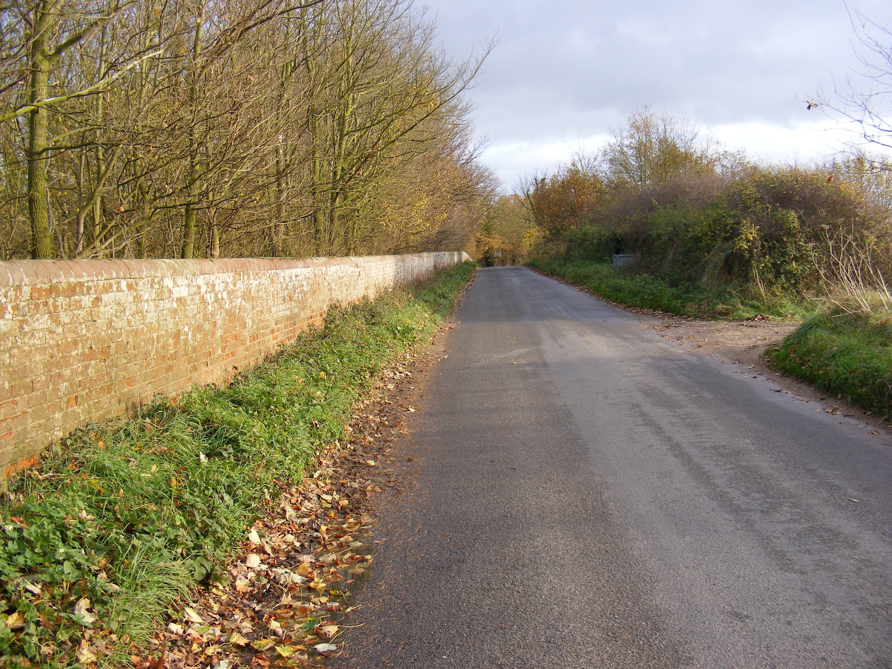 A rural road flanked by a brick wall and leaf-covered ground.