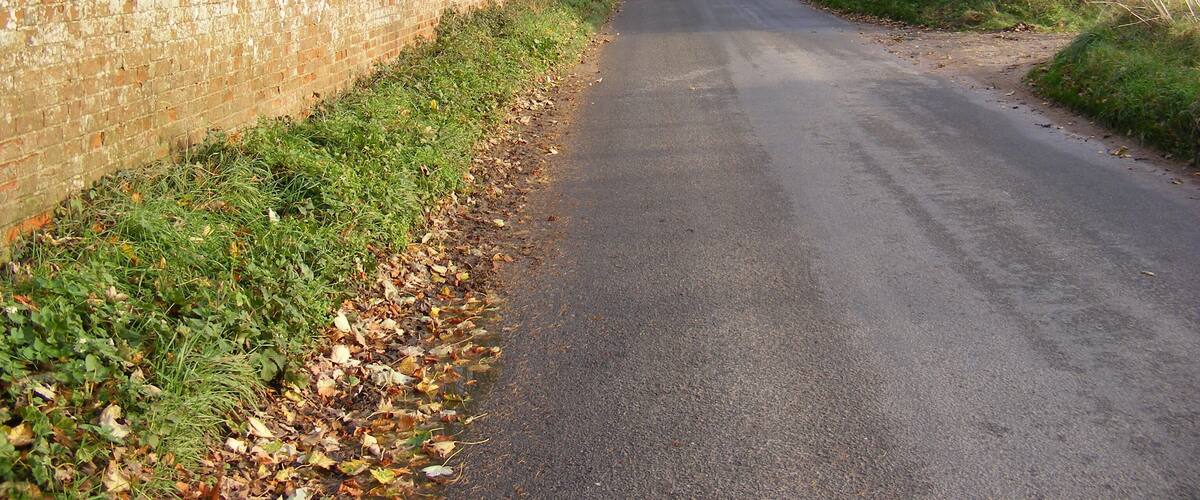 A rural road flanked by a brick wall and leaf-covered ground.