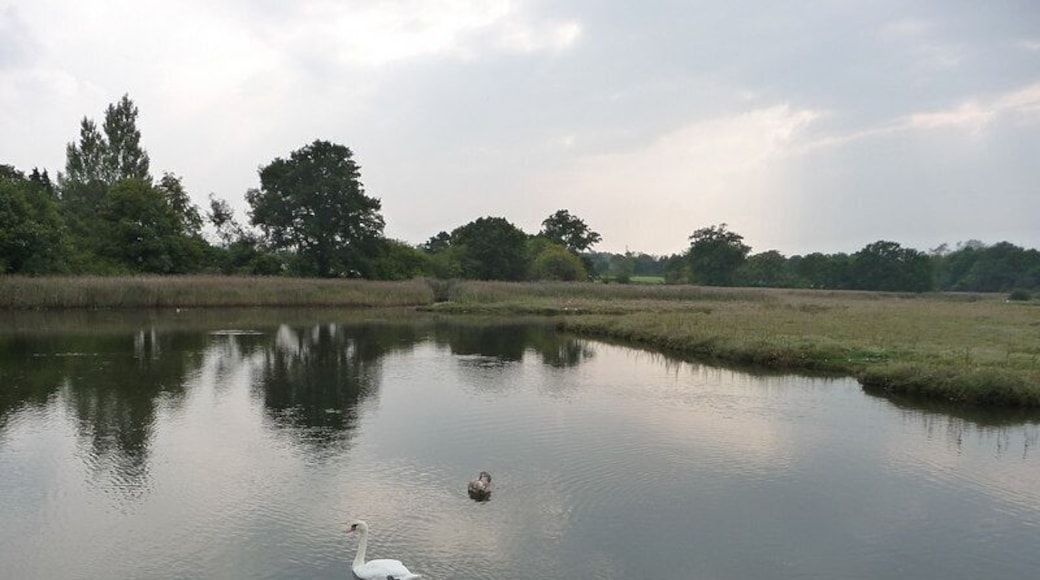 Looking south west from Eling toll bridge