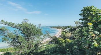 Bahia Honda State Park beach in the Florida Keys near the overseas highway bridge.